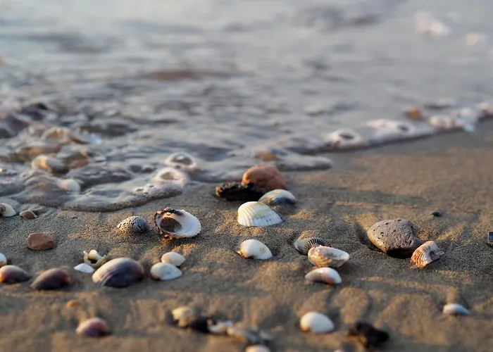 Apartment Perfect Surrounded By Nature *