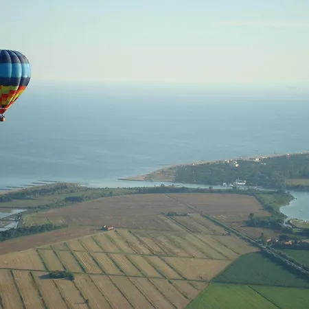 Perfect Surrounded By Nature